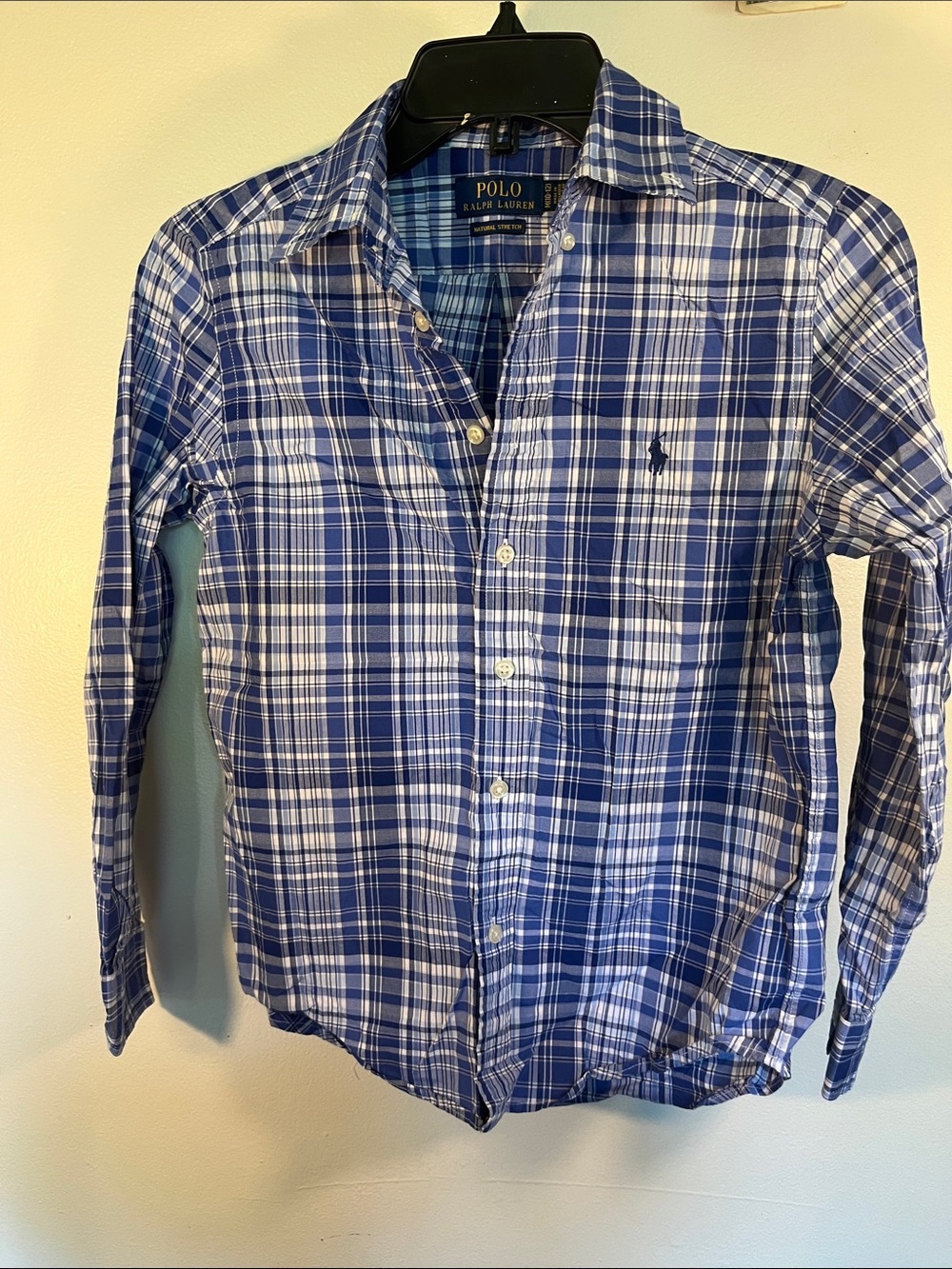 Polo by Ralph Lauren Blue and White Plaid Button-Down Shirt